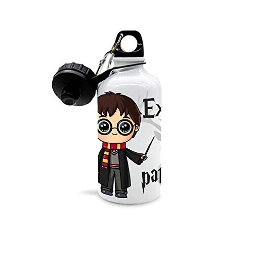 Gourde Harry Potter harry 500 ml