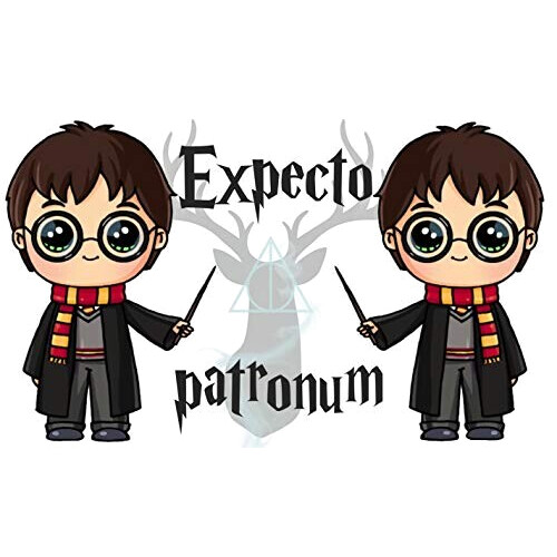 Gourde Harry Potter harry 500 ml variant 0 