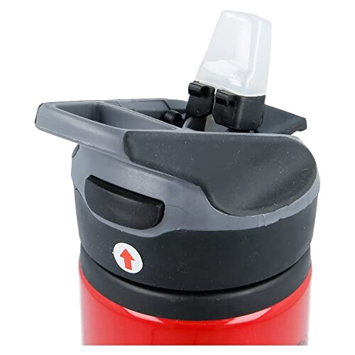 Gourde Game of Thrones rouge aluminium sans bpa 710 ml variant 3 