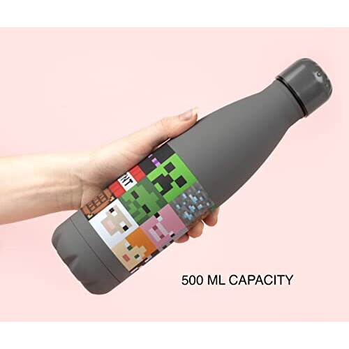 Minecraft - Gourde 500 ml