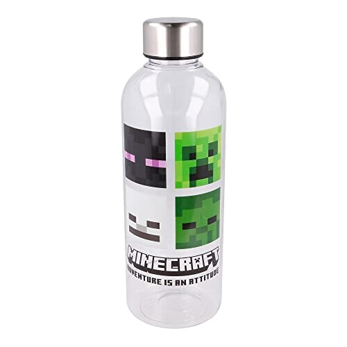 Gourde Minecraft cranberry verre 850 ml