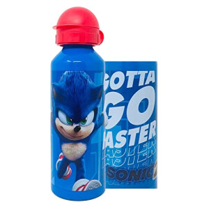 Gourde Sonic sony le hérisson aluminium sans bpa bec verseur 520 ml