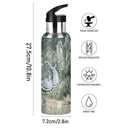 Gourde Aigle art mode sport inox sans bpa isotherme double paroi paille 600 ml variant 0 