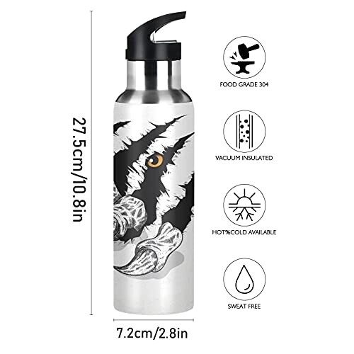 Gourde Aigle art mode sport inox sans bpa isotherme double paroi paille 600 ml variant 0 