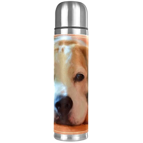 Gourde Beagle - Chien - multicolore . inox isotherme double paroi 500 ml