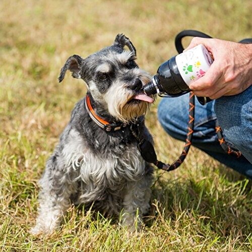 Gourde Chien aire 250 ml variant 0 