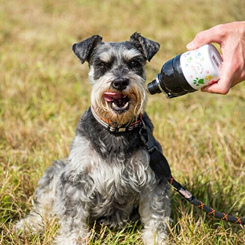 Gourde Chien aire 250 ml variant 1 