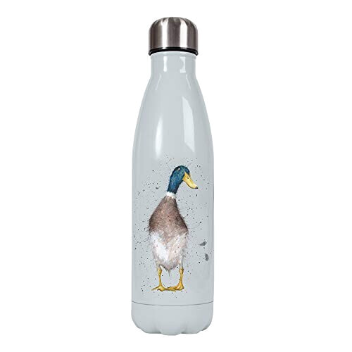 Gourde Canard motif métal sans bpa 500 ml variant 1 