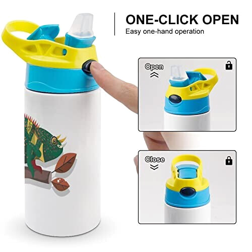 Gourde Caméléon couleur inox isotherme double paroi 500 ml variant 2 