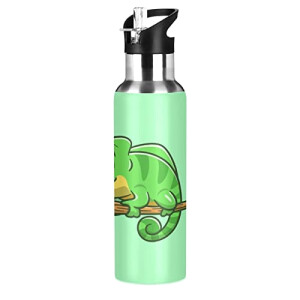 Gourde Caméléon art mode sport inox sans bpa isotherme double paroi paille 600 ml