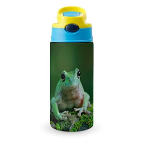 Gourde Grenouille couleur inox isotherme double paroi 500 ml