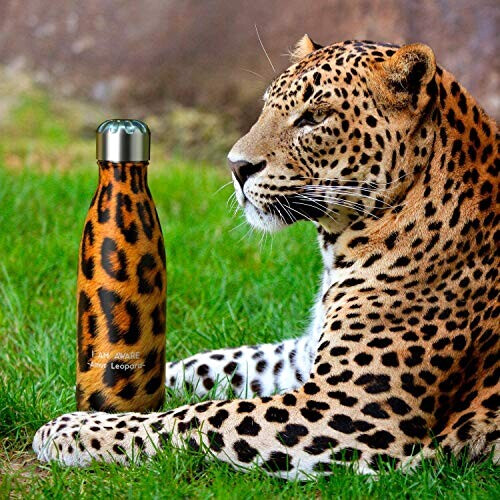 Gourde Léopard amur leopard inox isotherme double paroi 341 ml variant 0 