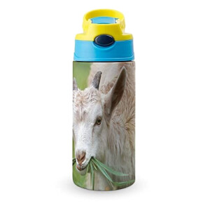 Gourde Mouton couleur inox isotherme double paroi 500 ml