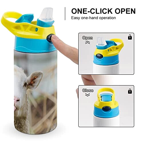 Gourde Mouton couleur inox isotherme double paroi 500 ml variant 2 