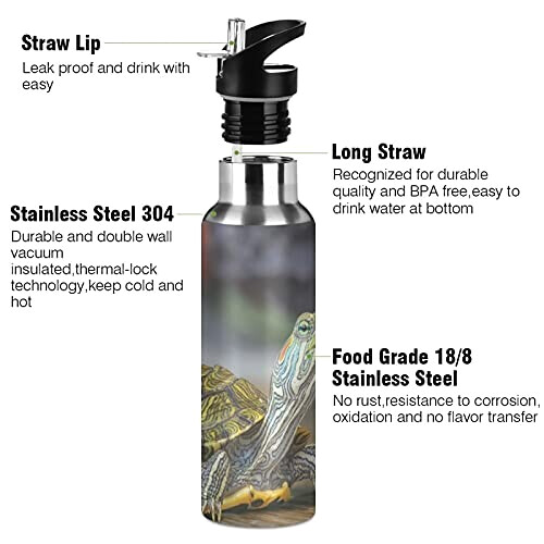 Gourde Tortue art mode sport inox sans bpa isotherme double paroi paille 600 ml variant 1 