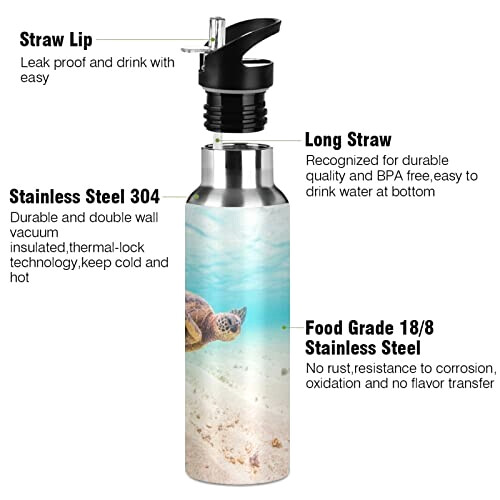 Gourde Tortue art mode sport inox sans bpa isotherme double paroi paille 600 ml variant 1 