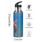 Gourde Tortue art mode sport inox sans bpa isotherme double paroi paille 600 ml - miniature variant 1