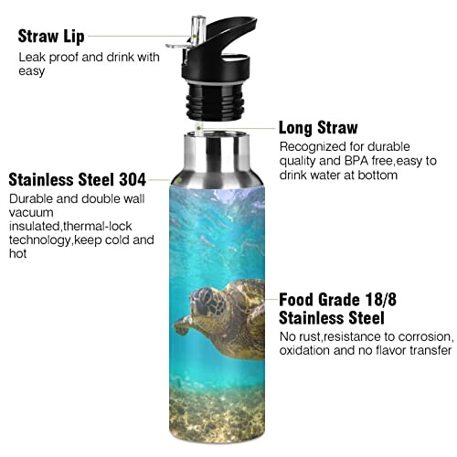 Gourde Tortue art mode sport inox sans bpa isotherme double paroi paille 600 ml variant 1 