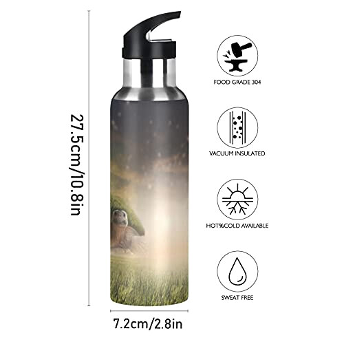 Gourde Tortue art mode sport inox sans bpa isotherme double paroi paille 600 ml variant 0 