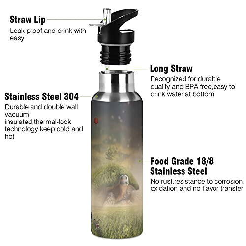 Gourde Tortue art mode sport inox sans bpa isotherme double paroi paille 600 ml variant 1 