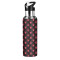 Gourde Araignée art mode sport inox sans bpa isotherme double paroi paille 600 ml - miniature