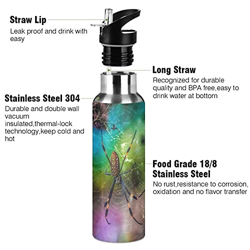 Gourde Araignée art mode sport inox sans bpa isotherme double paroi paille 600 ml variant 1 