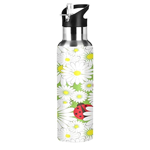 Gourde Coccinelle art mode sport inox sans bpa isotherme double paroi paille 600 ml