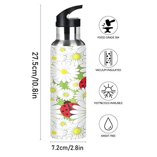 Gourde Coccinelle art mode sport inox sans bpa isotherme double paroi paille 600 ml variant 0 