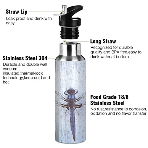 Gourde Libellule mode mignonne inox sans bpa isotherme double paroi paille 600 ml variant 1 