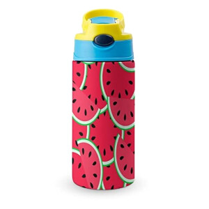 Gourde Pastèque couleur inox isotherme double paroi 500 ml