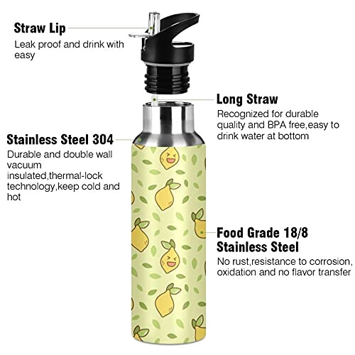 Gourde Poire art mode sport inox sans bpa isotherme double paroi paille 600 ml variant 1 